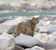 https://www.divediscovery.com/group-trips/2027/india.php
