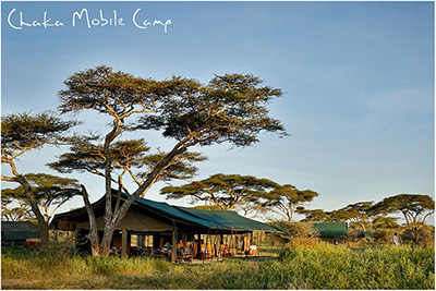 Chaka Camp in Northern Serengeti