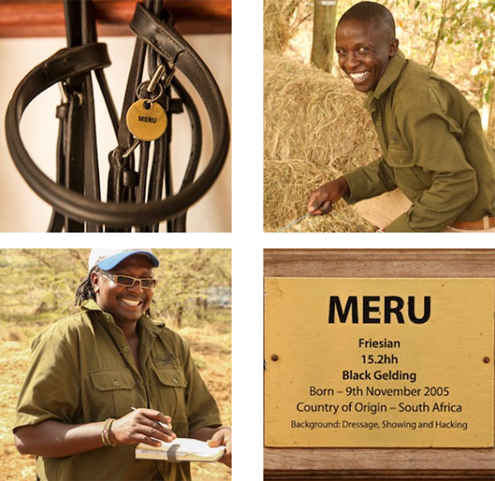 Tack and Grooming - Ride Kenya – Mara