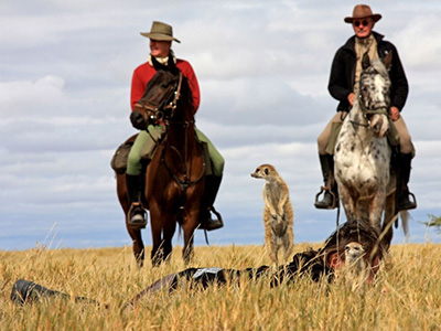 horse riders and meerkats