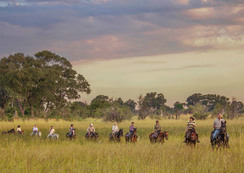 7 Nights Okavango Delta Ride | Horseback Riding Safaris | Africa Discovery