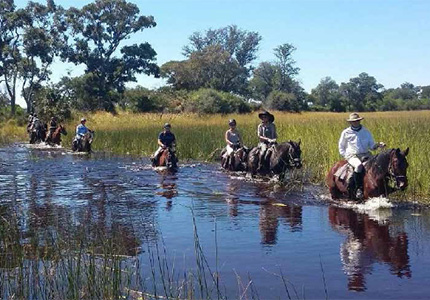 7 Nights Okavango Delta Ride | Horseback Riding Safaris