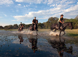 Thamalakane River Horse Ride