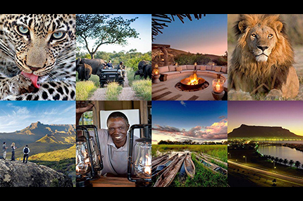 14 Nights Botswana & Cape Town South Africa, May 8-22 2027 Group Trip