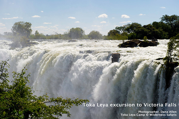 Victoria Falls