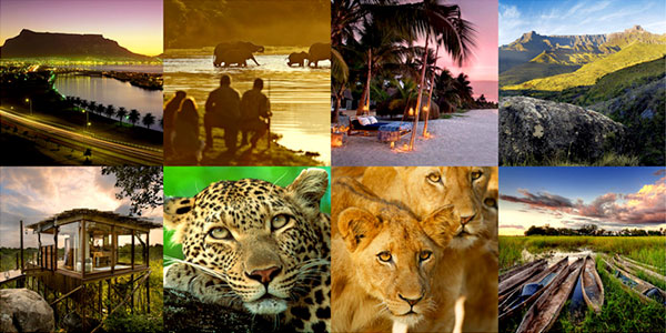 African Safari Pictures