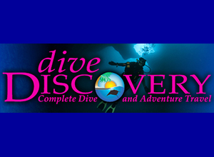 Dive Discovery