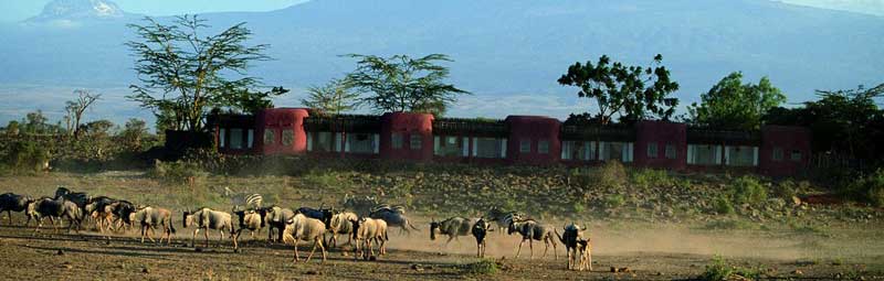 Amboseli Serena Safari Lodge - Amboseli National Park - Kenya Safari Lodge