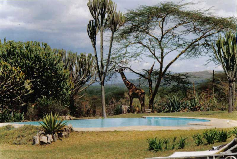 Kongoni Game Valley - Lake Naivasha - Kenya Safari Lodge