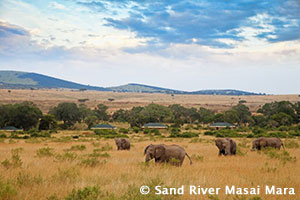 Sand River Masai Mara - Kenya Sky Safari