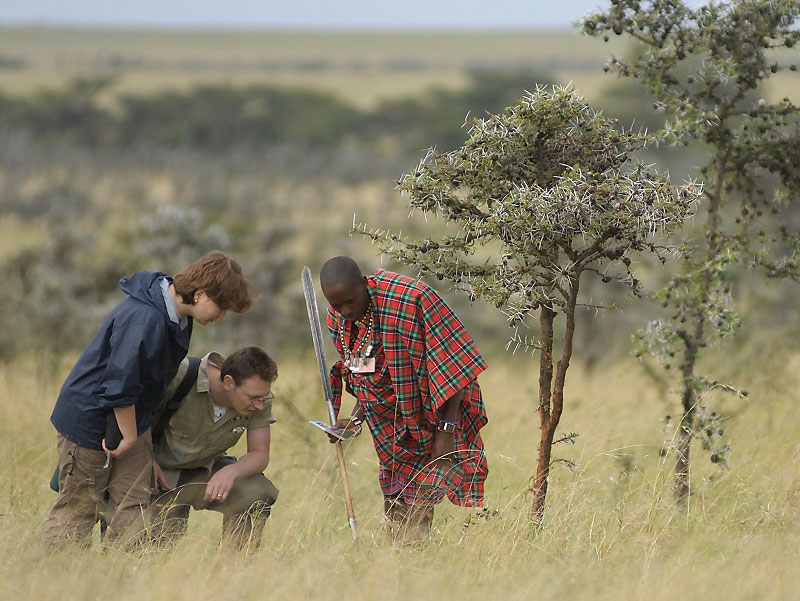 Kicheche Bush Camp - Maasai Mara - Kenya Safari Tented Camp