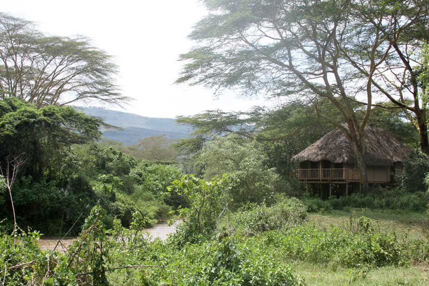 Kigio Wildlife Camp - Great Rift Valley - Kenya Safari Camp