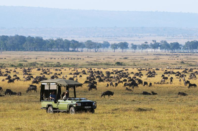 Game drive - Mara Expedition Camp - Maasai Mara, Kenya