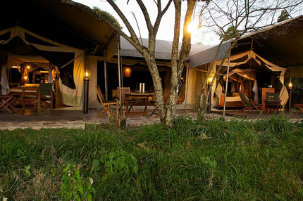 Mara Intrepids Tented Camp - Maasai Mara - Kenya Safari Camp