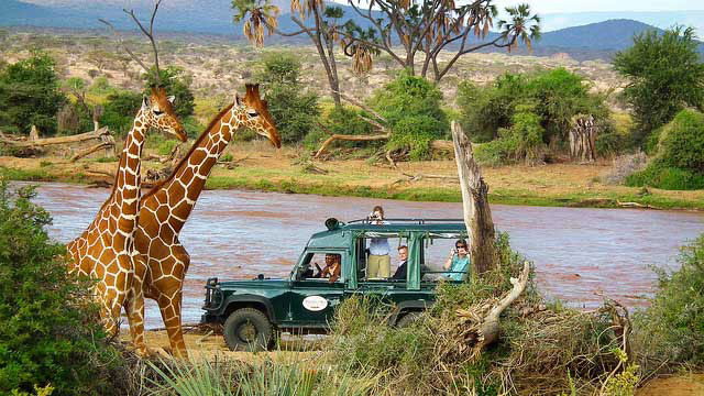 Samburu Intrepids Camp - Samburu National Reserve - Kenya Safari Camp