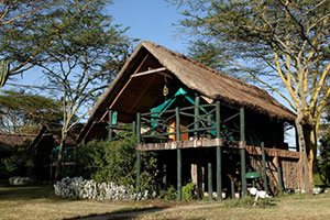 Sweetwaters Serena Camp in Ol Pajeta Conservancy