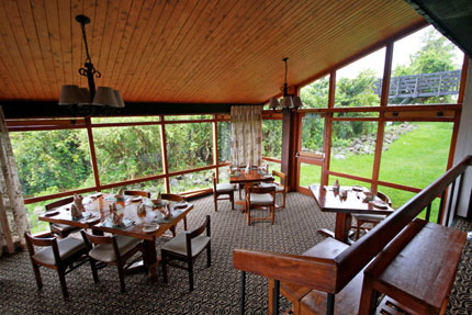 The Ark - Aberdare National Park - Kenya Safari Camp