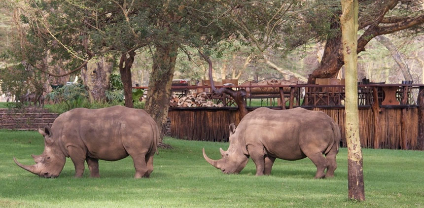 Sirikoi - Lewa Wildlife Conservancy, Kenya