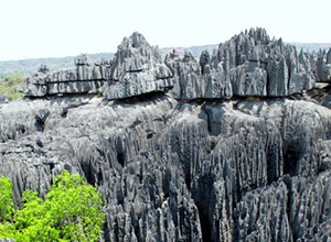 Tsingy de Bemaraha Strict Nature Reserve - Madagascar