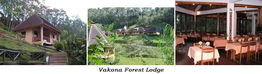 Andasibe: Vakona Forest Lodge