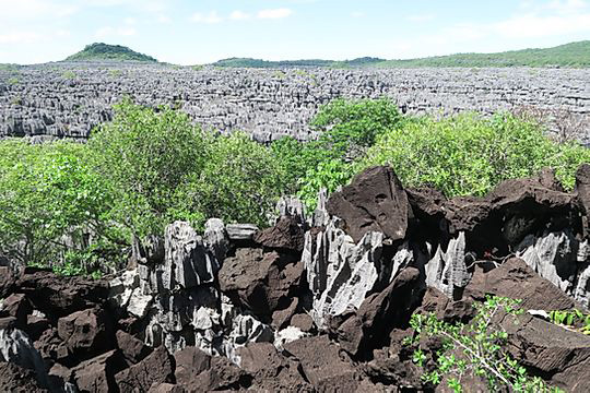 Tsingy - Ankarana National Park