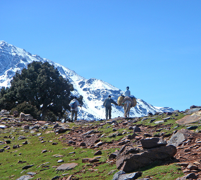 Trekking - Kasbah Du Toubkal in Toubkal National Park, Morocco