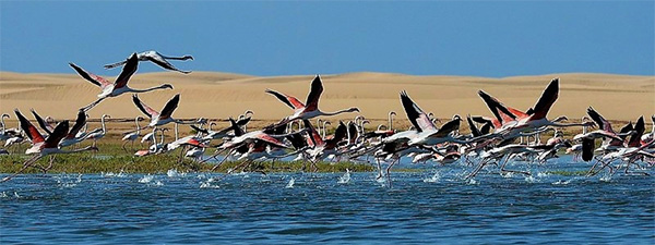 Naila salt lagoon - Western Sahara, 10 Day Trip