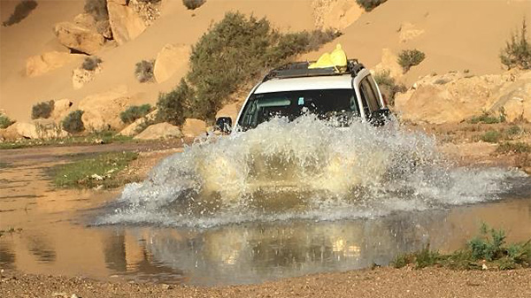 Vehicle - Western Sahara, 10 Day Trip