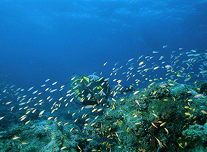 Azura Quilalea - Quilalea Island, Quirimbas Archipelago