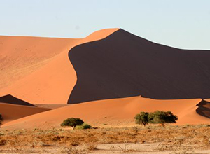 Namib Desert