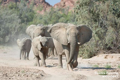 Sorris Sorris Lodge - Damaraland, Namibia