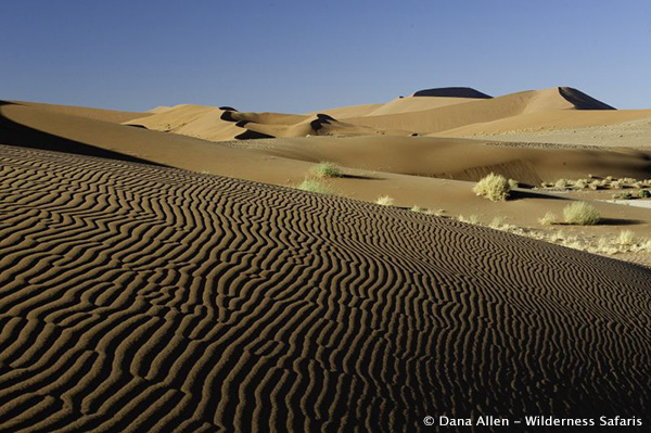 Sossusvlei Ripples in the Sand