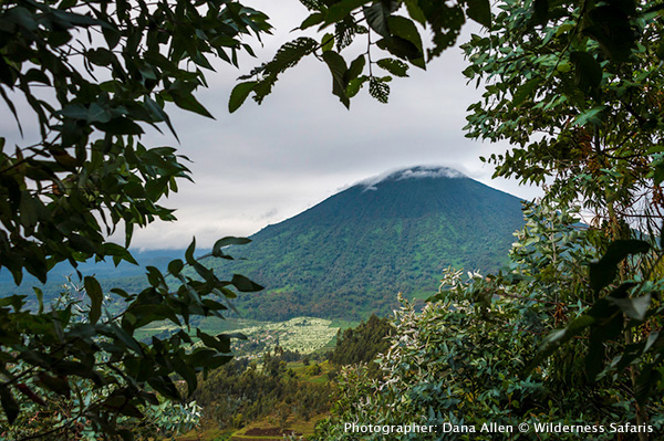 View of Bisoke from Bisate Lodge