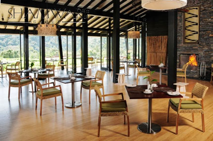 Nyungwe Forest Lodge - Nyungwe National Park - Rwanda Safari Lodge