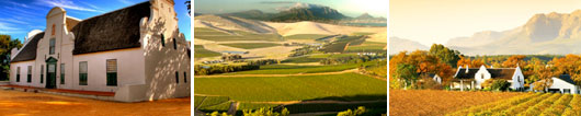 Cape Winelands