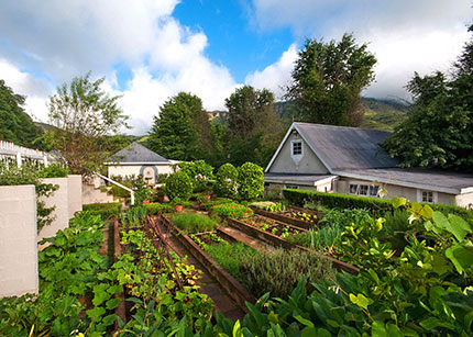 Cleopatra Mountain Farmhouse - KwaZulu Natal, South Africa