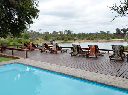 Gomo Gomo Game Lodge - Timbavati Private Game Reserve - South Africa Safari Lodge