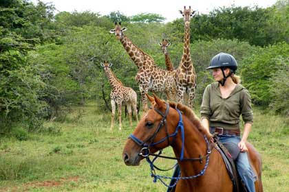 Hluhluwe River Lodge - KwaZulu Natal - South Africa Safari Lodge