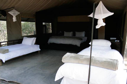 Honeyguide Khoka Moya Camp - Kruger National Park - South Africa Safari Tented Camp