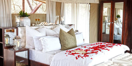 Jabula Tent, Thanda Private Game Reserve - KwaZulu Natal - South Africa Luxury Camp