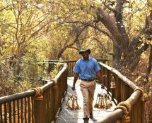Jaci's Tree Lodge - Madikwe Game Reserve - South Africa Safari Lodge