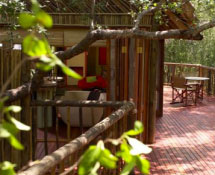 Jaci's Tree Lodge - Madikwe Game Reserve - South Africa Safari Lodge