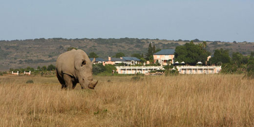 Long Lee Manor - Shamwari Game Reserve - Eastern Cape - South Africa