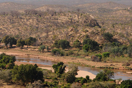 Pafuri Camp - Makuleke concession, Kruger National Park