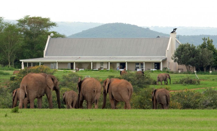 River Bend Lodge - Eastern Cape - South Africa Safari Lodge