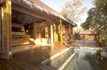 Simbambili Game Lodge - Sabi Sands Game Reserve - South Africa Safari Lodge