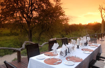 Simbambili Game Lodge - Sabi Sands Game Reserve - South Africa Safari Lodge