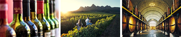 Winelands Tour