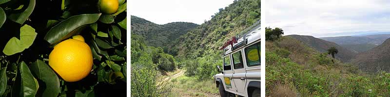 Addo Elephant Park - Eastern Cape - South Africa Safari Park