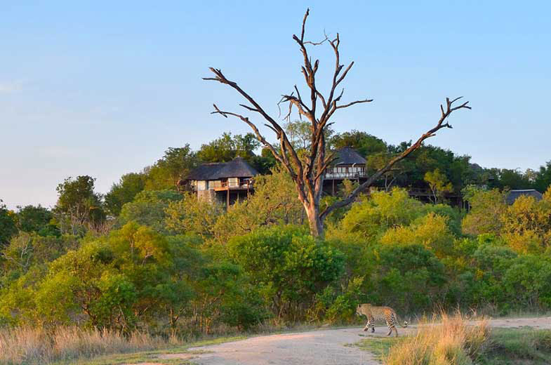 Leopard Hills Private Game Reserve in Sabi Sand Reserve, South Africa